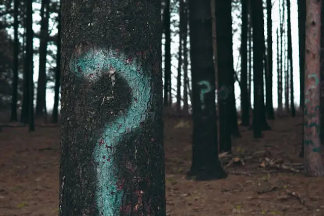 Question mark
